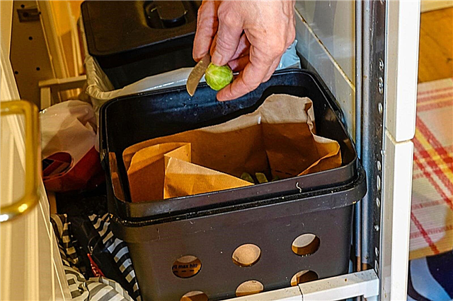 Bir Dairede Kompostlama: Balkonda Kompost Yapabilir misiniz?