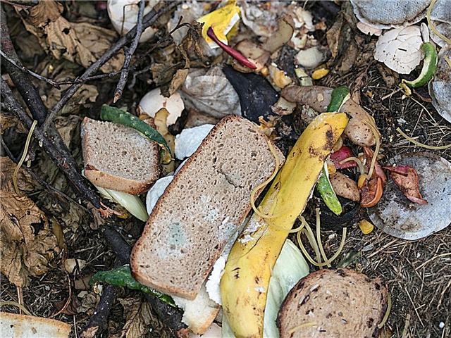 Kann Brot kompostiert werden: Tipps zum Kompostieren von Brot
