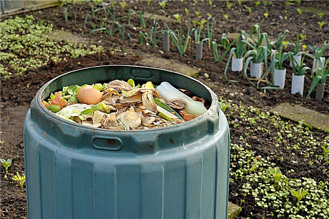 Mantener limpios los contenedores de compost: cómo limpiar un contenedor de compost