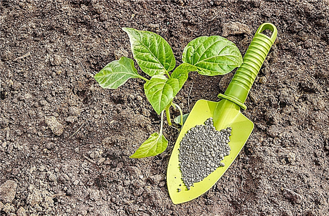 Gleba bogata w potas: wskazówki dotyczące obniżania poziomu potasu
