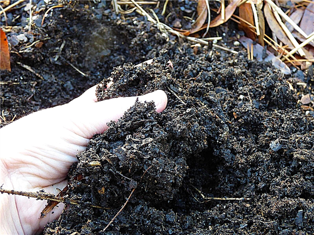 Mi-a terminat compostul: cât durează compostul pentru a se maturiza