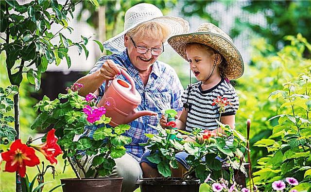 Design de jardim para toda a família: como cultivar um jardim para crianças e adultos
