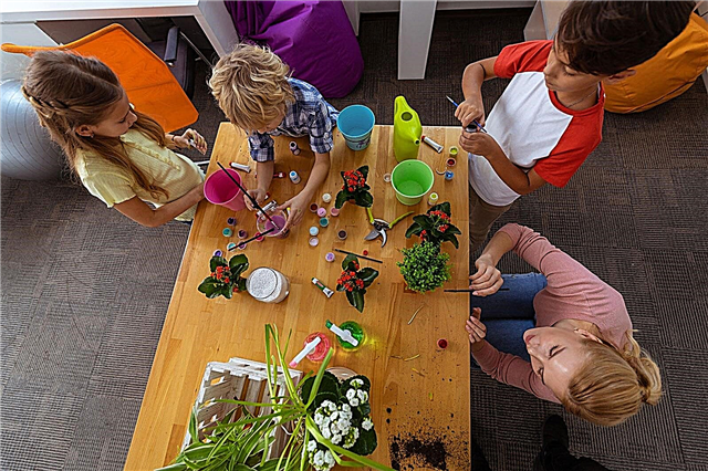 Leuke ambachten voor gezinnen: creatieve plantenbakken maken met kinderen