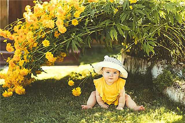 Bebe u vrtu: kako vrt s bebom