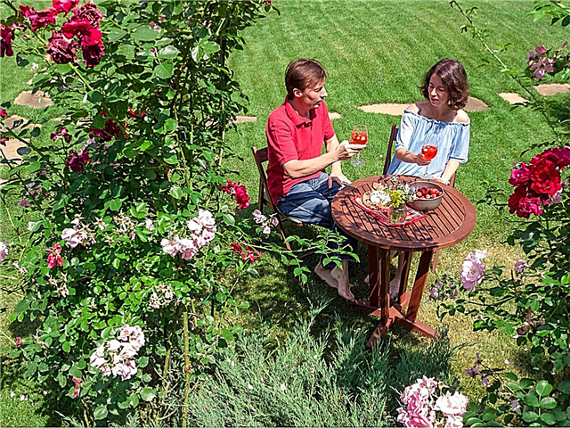 בחירת פרחים רומנטיים: איך לגדל גן רומנטי