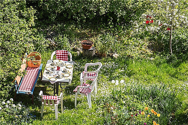 Pomysły na temat Garden Party: Planowanie przyjęcia w ogrodzie