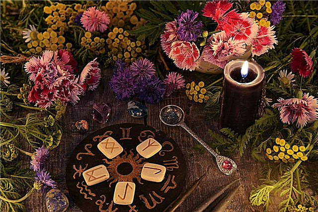 צמחים ואסטרולוגיה: מדריך לפרחי גלגל המזלות