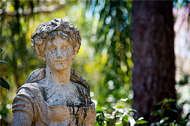 Limpieza de esculturas de jardín: con qué limpiar las estatuas de jardín