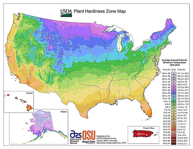 Pojasnilo cone USDA - kaj točno pomenijo območja trdote