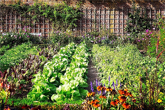 Μικροκλίματα για λαχανικά: Χρήση μικροκλίμα σε φυτικούς κήπους