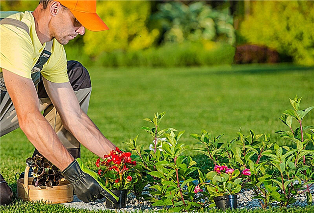 庭の造園家を雇う：評判の良い造園家を見つける方法