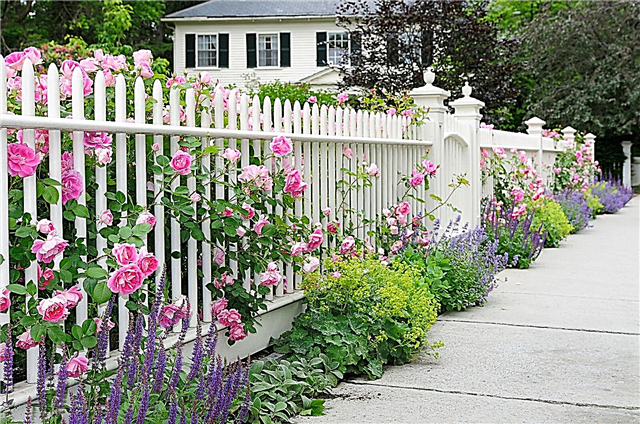 बेस्ट नेबरहुड गार्डन: अपने गार्डन को आस-पड़ोस से ईर्ष्या करना