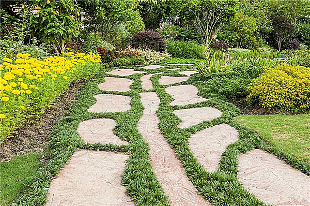 Perché piantare un giardino vialetto: motivi per fare il giardinaggio lungo i vialetti