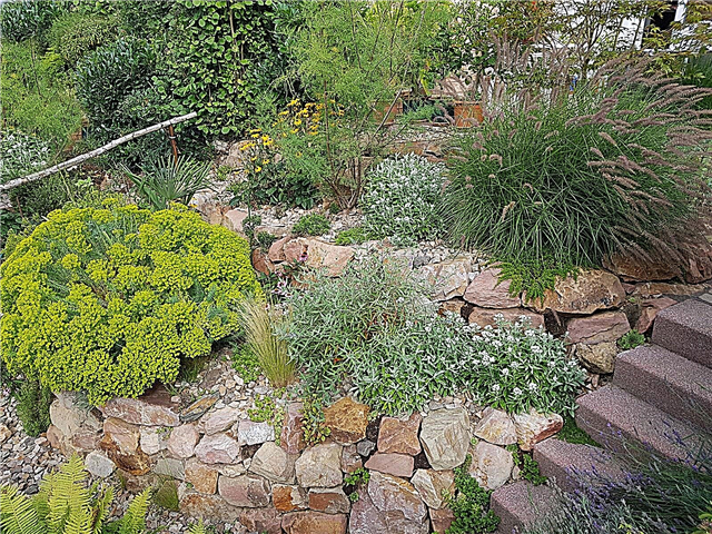 언덕 바위 정원 : 사면에 바위 정원을 구축하는 방법
