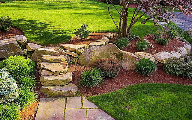 Akmens ainavu dizains - kā akmeņus izmantot dārzā