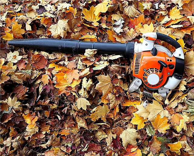 Hivernage des outils électriques - Conseils pour ranger les outils électriques pour pelouse