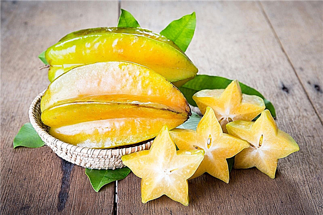 Zanimljive upotrebe zvjezdanog voća - naučite kako koristiti starfruit
