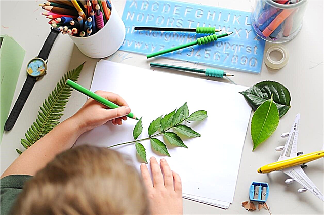 Progetti artistici per bambini per bambini - Scopri di più sull'artigianato vegetale per bambini