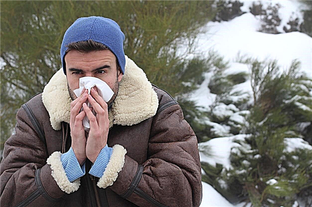 Külma ilmaga taimeallergia - kas on olemas talvine allergiataimed