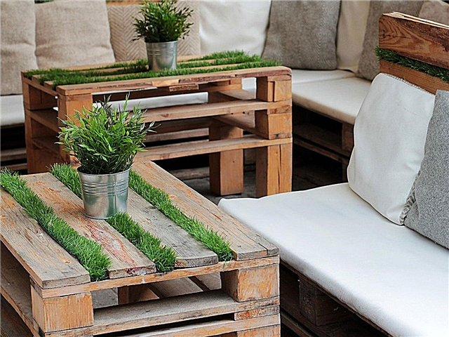 تزايد العشب على الطاولة - كيفية صنع الطاولة المغطاة بالعشب