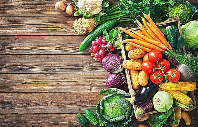 מהו גידול ירקות: מידע על מדע גידול הירקות