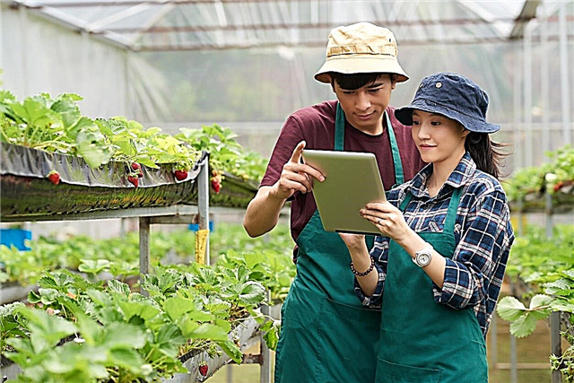 Smart hagearbeid guide - Lær om hagearbeid med teknologi