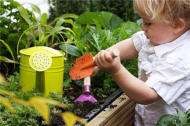 Auswahl von Werkzeugen für Kinder: Gartengeräte in Kindergröße für Gärtner in Pintgröße