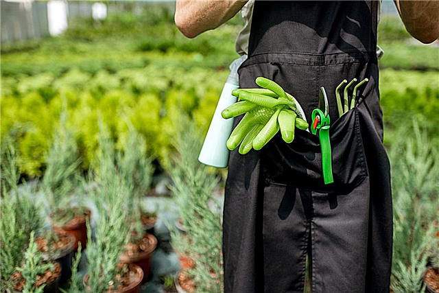 Outils de jardinier débutant - Outils essentiels pour votre ceinture à outils ou votre tablier