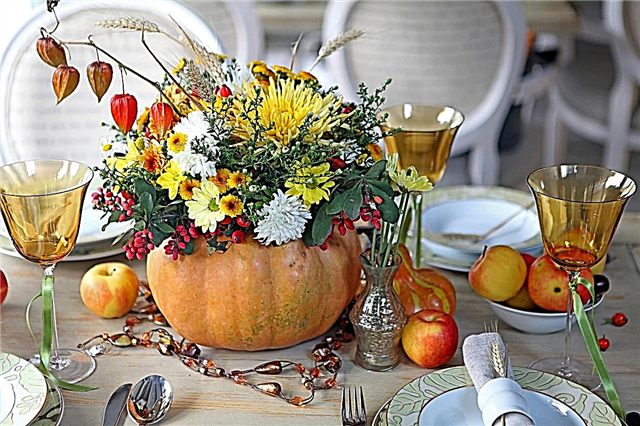 Thanksgiving Centerpiece Plants: Growing A Thanksgiving Dinner Centerpiece