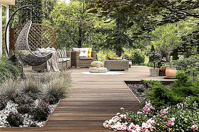 Aménagement paysager de patio: idées de jardinage autour des patios