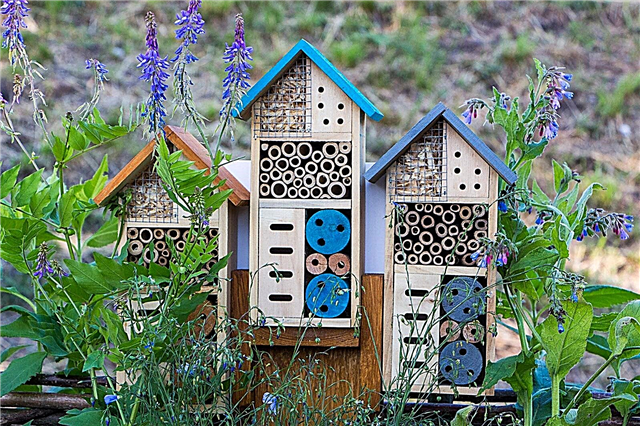 DIY Insect Hotel: Comment faire un hôtel anti-insectes pour votre jardin