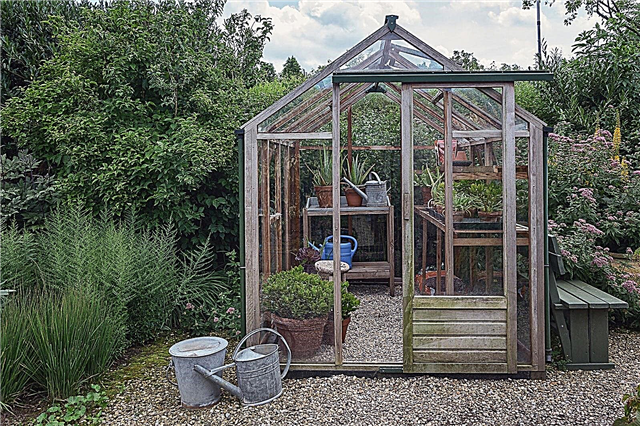 Jardinería alrededor de un invernadero: cómo colocar un invernadero en el jardín