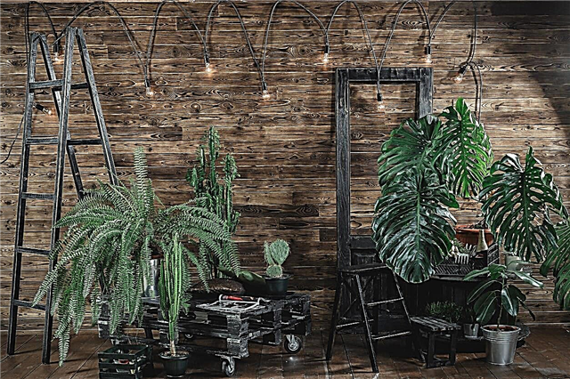 Myšlenky House Jungle: Jak si vyrobit Indoor Jungle House