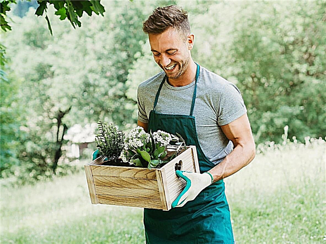 Jardinería para Millennials - Aprenda por qué los Millennials aman la jardinería