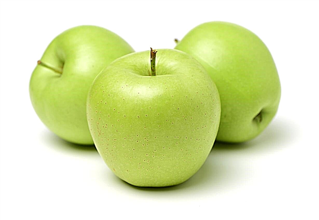 Granny Smith Apple Care: Wie man Granny Smith Äpfel anbaut