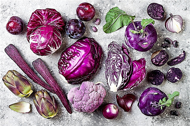 Alimentos roxos saudáveis: você deve comer mais frutas e legumes roxos