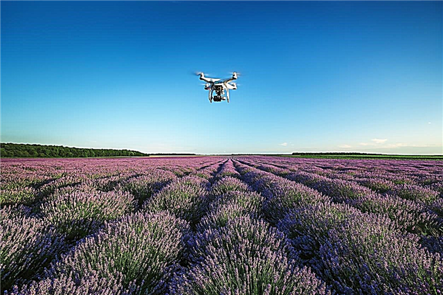 Drones en tuinieren: informatie over het gebruik van drones in de tuin
