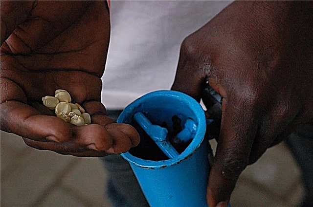 Idées de semoirs à faire soi-même: conseils pour fabriquer un semoir à graines