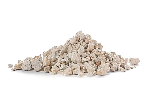 Apa Itu Batu Apung Digunakan Untuk: Tips Menggunakan Batu Apung Dalam Tanah