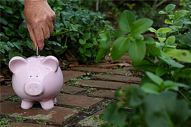 Idéias de jardinagem Frugal: Aprenda a jardinar em um orçamento