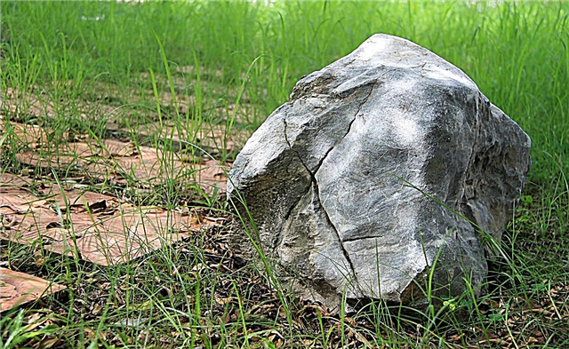 المناظر الطبيعية مع الحجر الجيري: نصائح للبستنة بالحجر الجيري