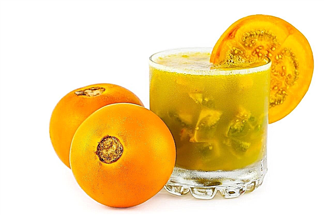 Comer Naranjilla - Aprenda a usar frutas Naranjilla