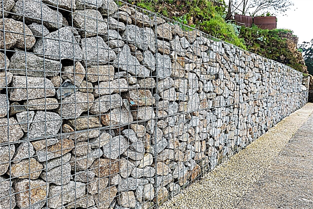Što je Gabionski zid i za što su gabionski zidovi