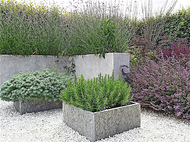 現代的な庭のアイデア–現代的な庭の作り方