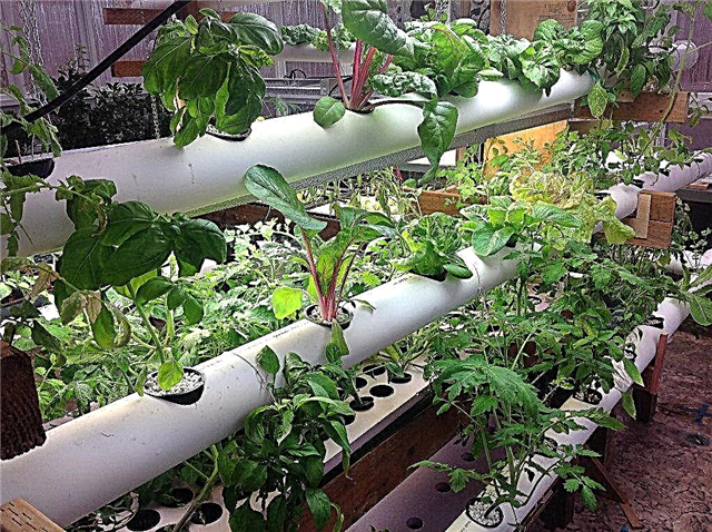 Kertészet műanyag csövekkel - DIY PVC csőkerti projektek