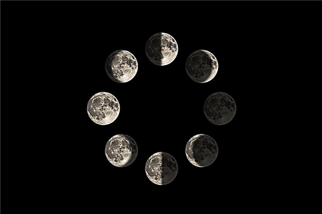 Berkebun By The Moon: Pelajari Cara Menanam Dengan Fase Bulan