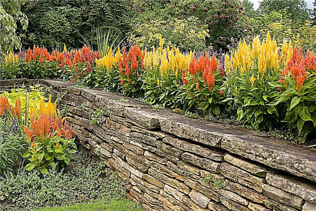 Gartensteinmauern - So bauen Sie eine Steinmauer für Ihren Garten