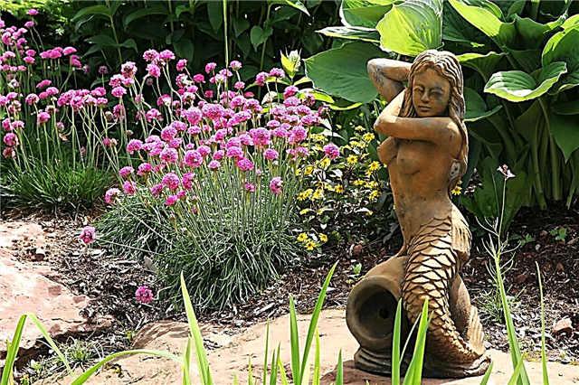 Mermaid Garden Ideas - Erfahren Sie, wie Sie einen Mermaid Garden gestalten