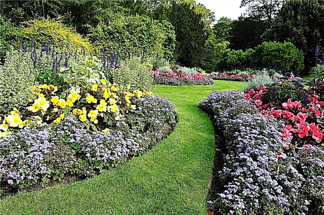 Asymmetrische Gartengestaltung - Erfahren Sie mehr über asymmetrische Landschaftsgestaltung