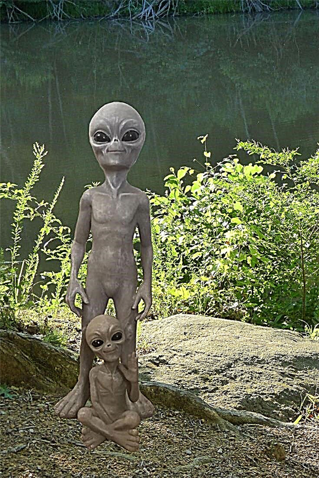 UFO Friendly Gardens: Tipy, jak přilákat mimozemšťany do vaší zahrady